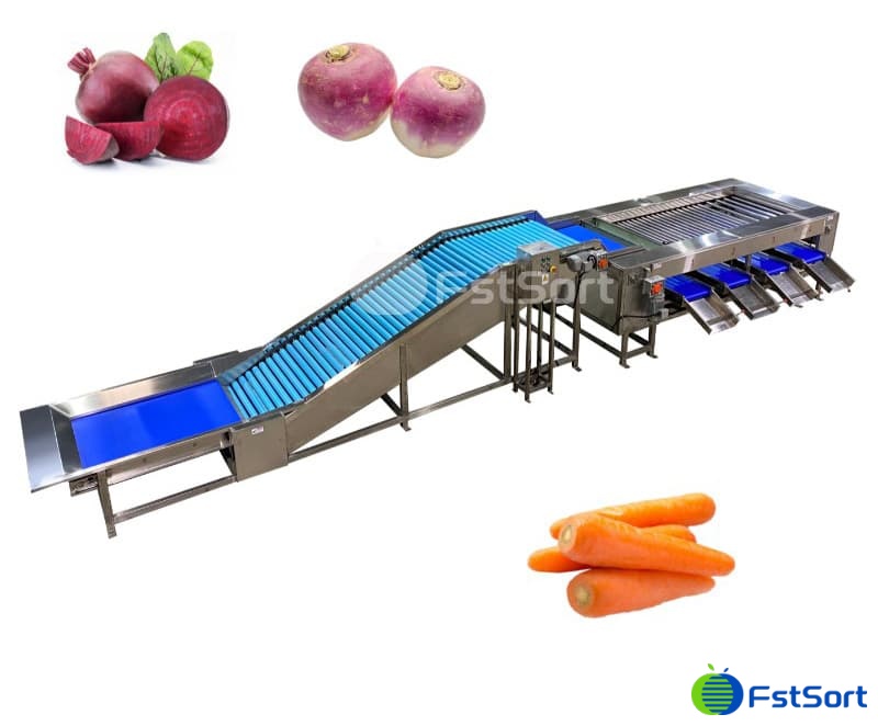 carrot sorter.jpg carrot sorter.jpg